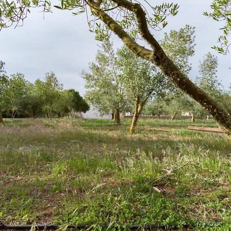 Agroturismo Malbuger Nou Menorca -Adults Only- マオー エクステリア 写真